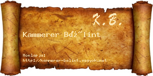 Kammerer Bálint névjegykártya