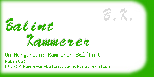 balint kammerer business card